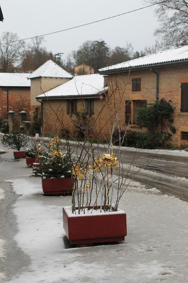 Hotel Restaurant Le Moulin De Saint Verand Exterior foto